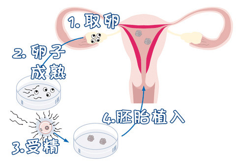 安悦佳妇产医院